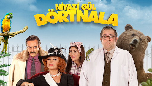 sibelle hu şebnem ceceli mustafa cecelinin neyi