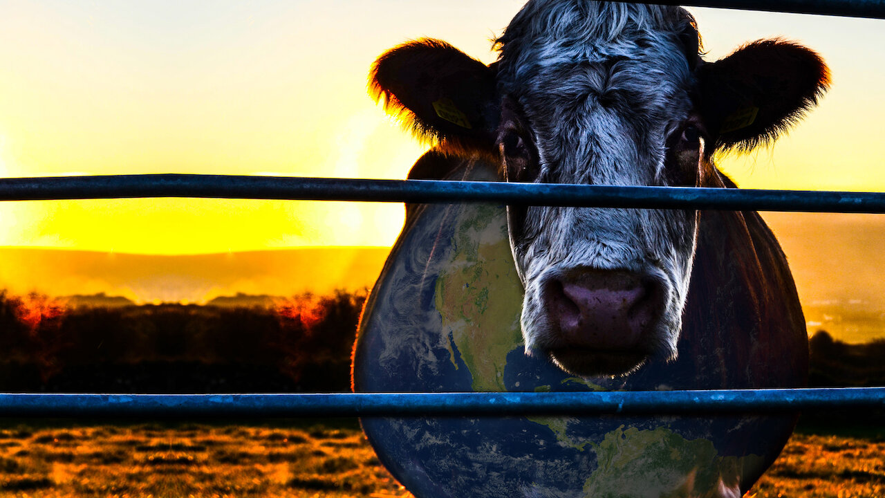 Watch Cowspiracy: The Sustainability Secret | Netflix Watch Cowspiracy: The Sustainability Secret | Netflix